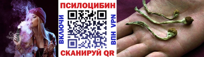 Галлюциногенные грибы мицелий  гидра ссылки  Усолье 